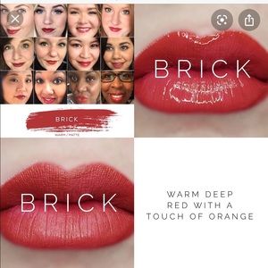 NEW/sealed Brick Lipsense by SeneGence